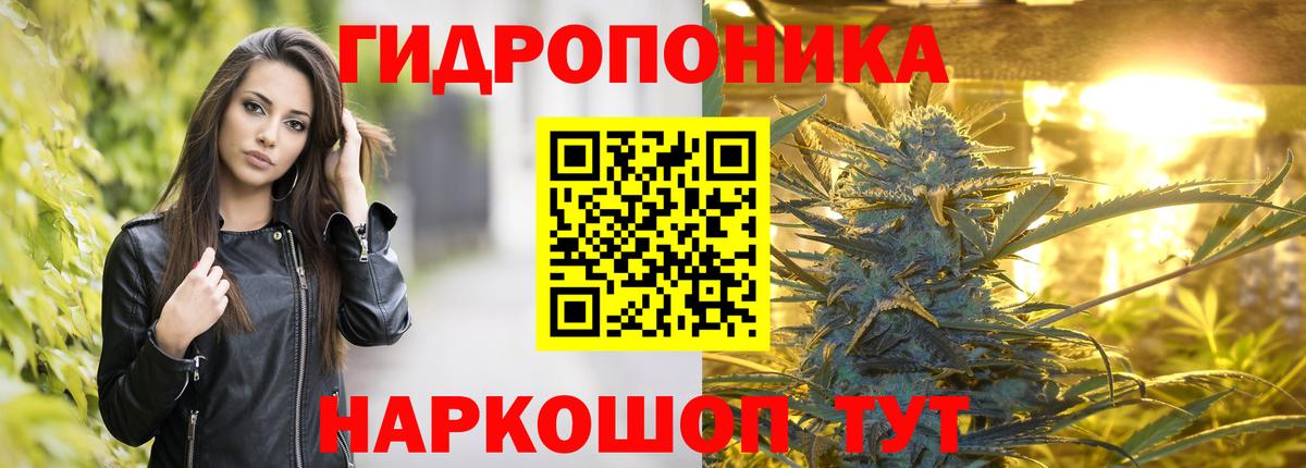 Каннабис VHQ  Шишки марихуана планчик  Вход с VPN  Марихуана LSD WEED  Бошки марихуана VHQ  Владивосток 
